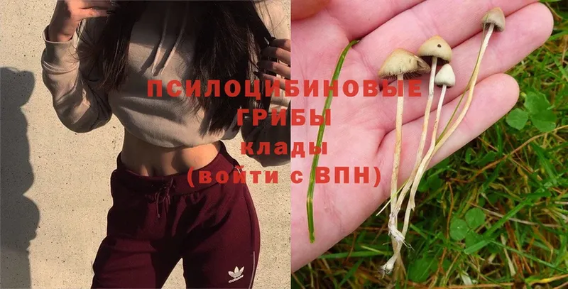 Псилоцибиновые грибы Magic Shrooms  Слюдянка 